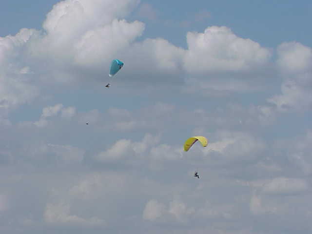 unknown pilots